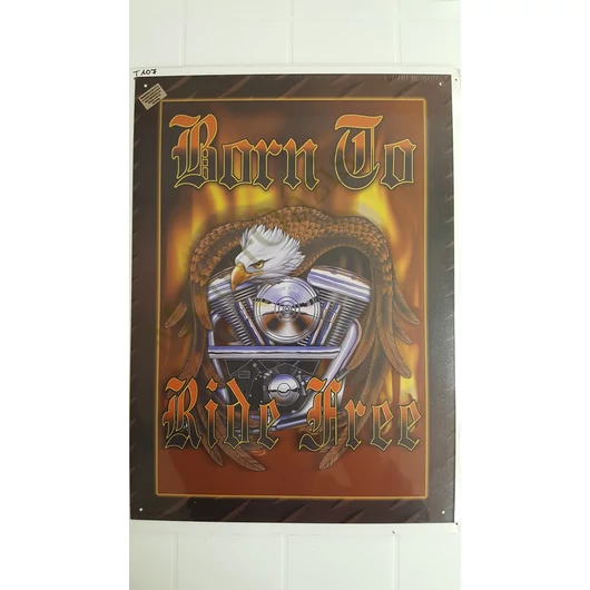 Fém dísztábla BORN TO RIDE FREE