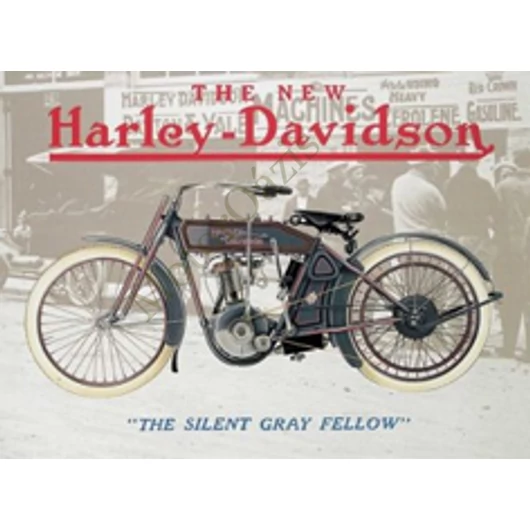 HARLEY DAVIDSON Gray Fellow